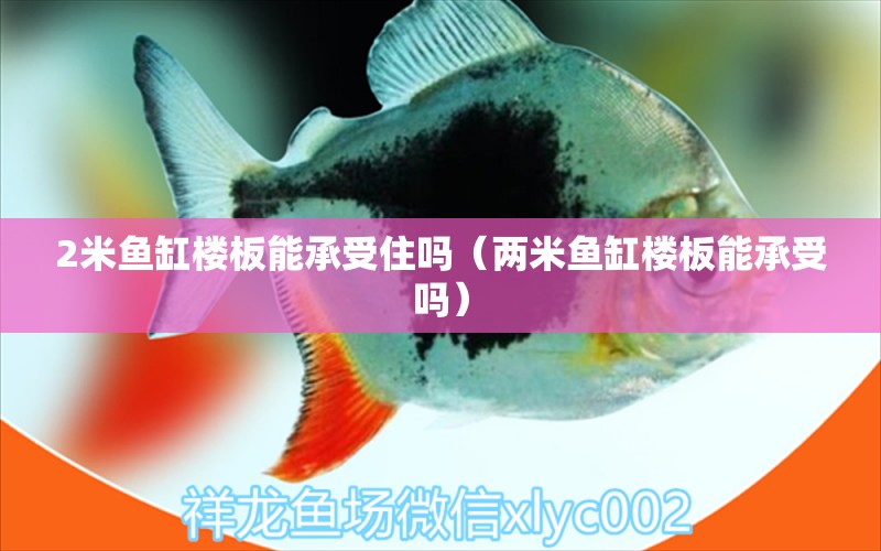 2米魚缸樓板能承受住嗎（兩米魚缸樓板能承受嗎）