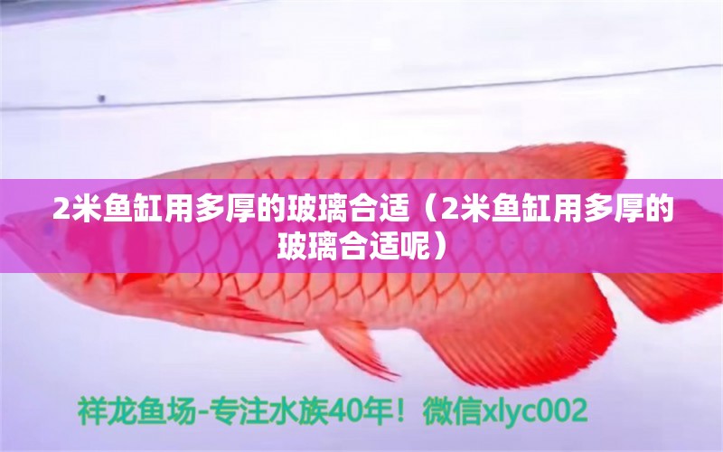 2米魚缸用多厚的玻璃合適（2米魚缸用多厚的玻璃合適呢） 魚缸百科