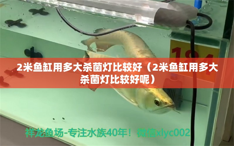 2米魚缸用多大殺菌燈比較好（2米魚缸用多大殺菌燈比較好呢）