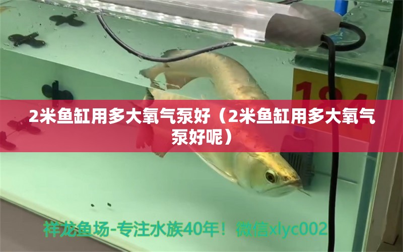 2米魚缸用多大氧氣泵好（2米魚缸用多大氧氣泵好呢） 其他品牌魚缸