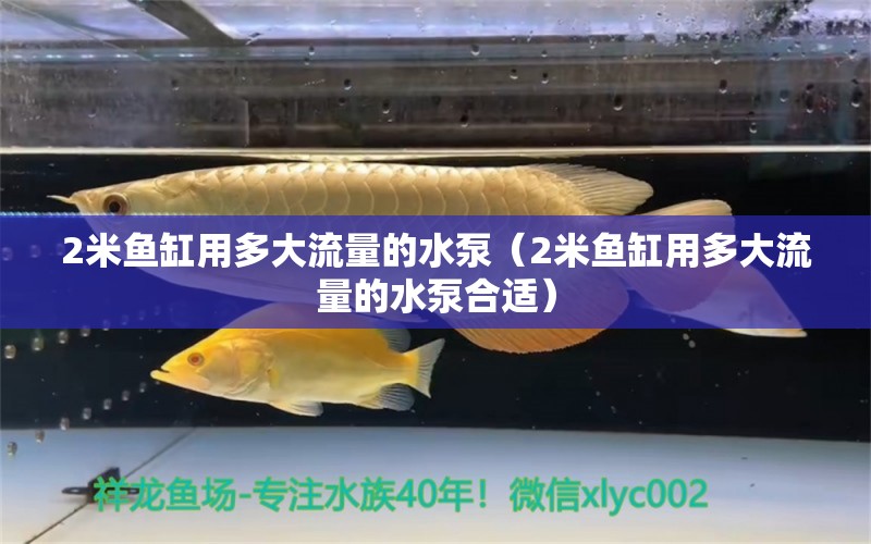 2米魚缸用多大流量的水泵（2米魚缸用多大流量的水泵合適） 魚缸百科