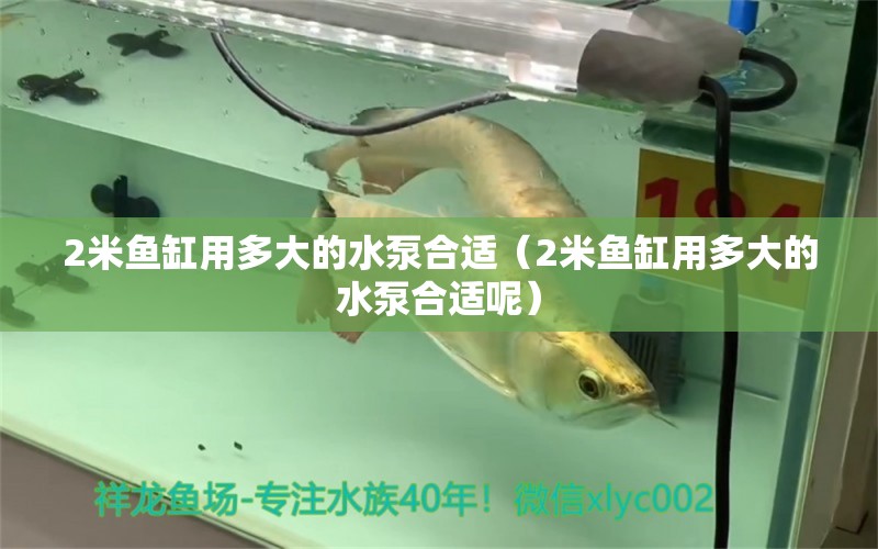 2米魚缸用多大的水泵合適（2米魚缸用多大的水泵合適呢）