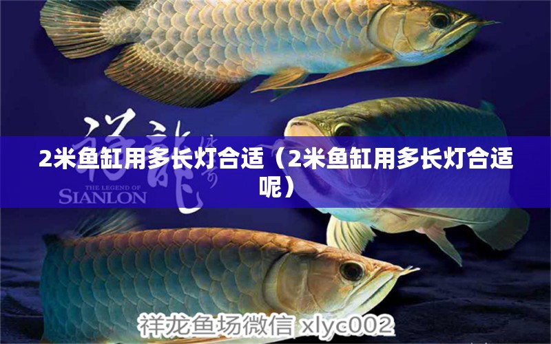 2米魚缸用多長(zhǎng)燈合適（2米魚缸用多長(zhǎng)燈合適呢） 其他品牌魚缸