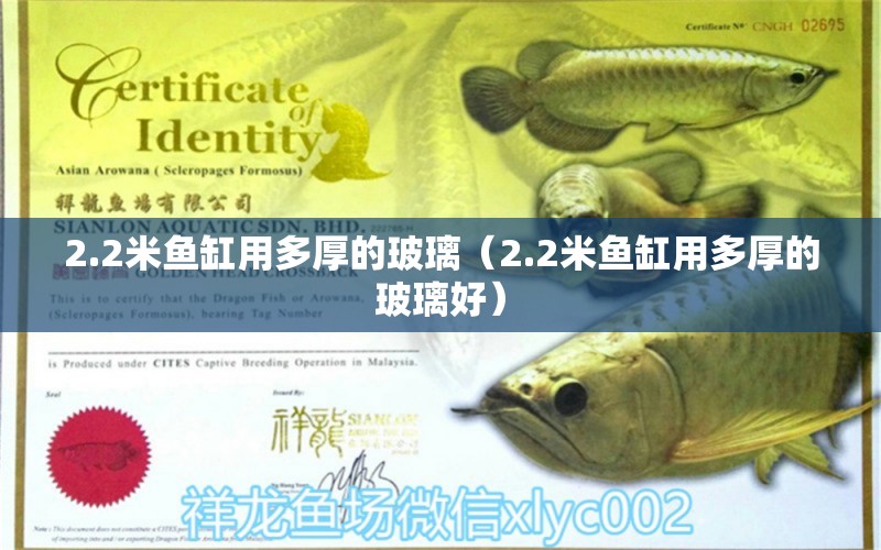 2.2米魚缸用多厚的玻璃（2.2米魚缸用多厚的玻璃好）