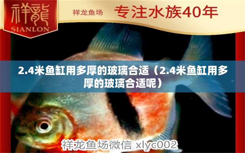 2.4米魚(yú)缸用多厚的玻璃合適（2.4米魚(yú)缸用多厚的玻璃合適呢）