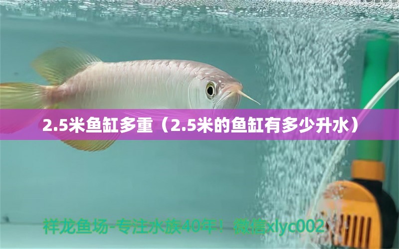 2.5米魚缸多重（2.5米的魚缸有多少升水）