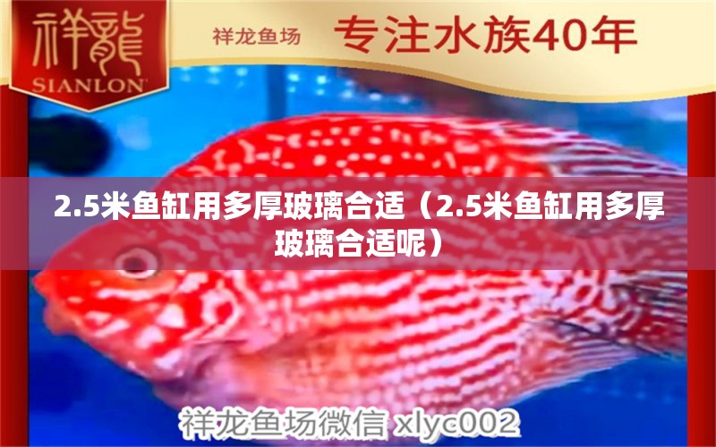 2.5米魚(yú)缸用多厚玻璃合適（2.5米魚(yú)缸用多厚玻璃合適呢） 其他品牌魚(yú)缸