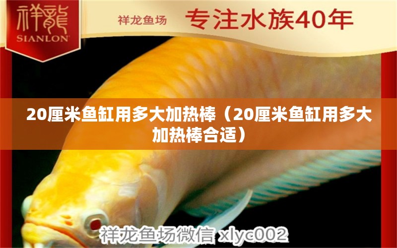 20厘米魚缸用多大加熱棒（20厘米魚缸用多大加熱棒合適） 其他品牌魚缸