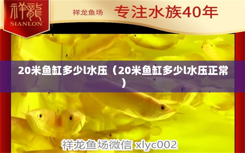 20米魚缸多少l水壓（20米魚缸多少l水壓正常）