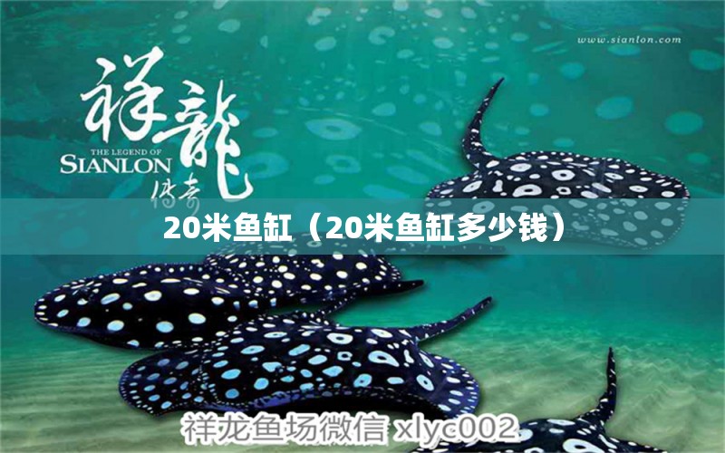 20米魚缸（20米魚缸多少錢） 其他品牌魚缸