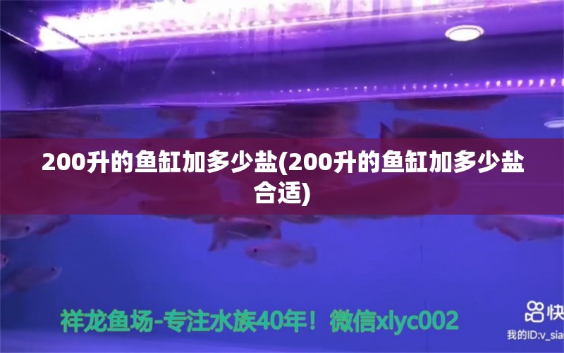 200升的魚缸加多少鹽(200升的魚缸加多少鹽合適) 狗頭魚