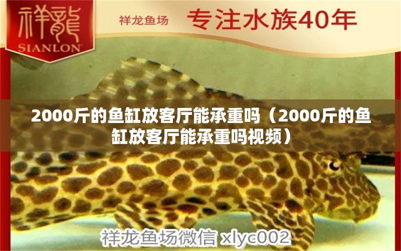 2000斤的魚缸放客廳能承重嗎（2000斤的魚缸放客廳能承重嗎視頻）