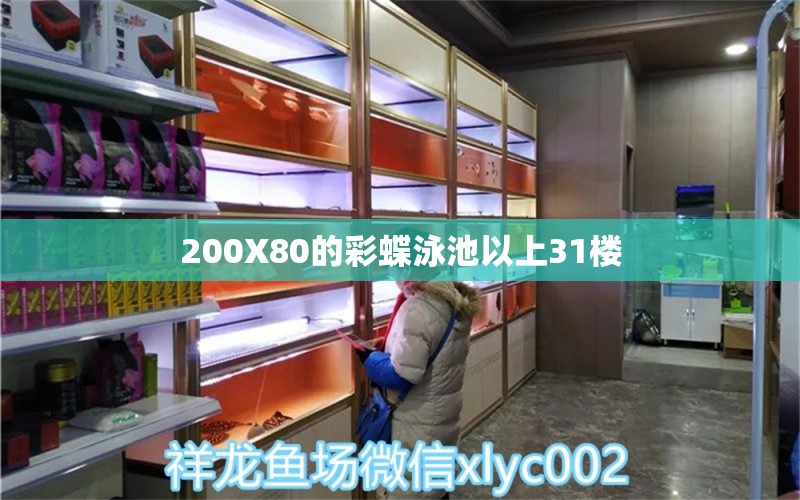 200X80的彩蝶泳池以上31樓 觀賞魚論壇 第3張