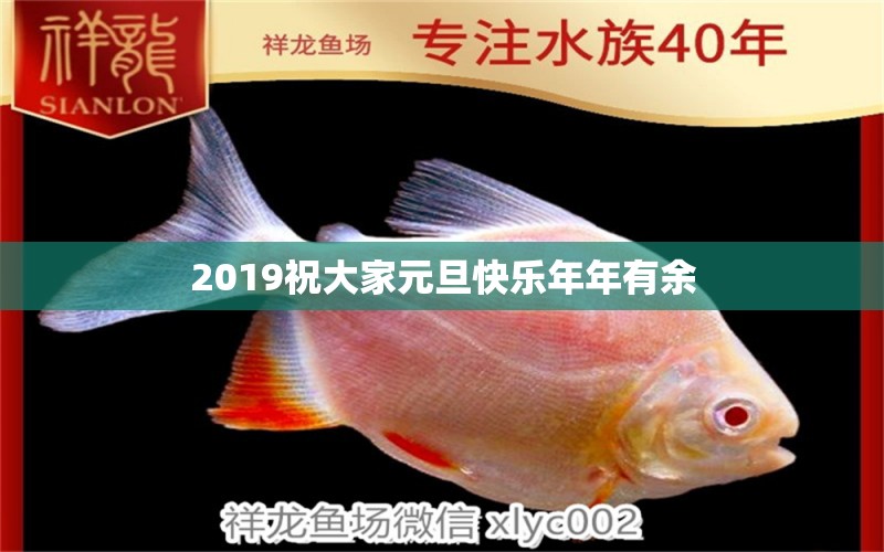 2019祝大家元旦快樂年年有余 祥龍傳奇品牌魚缸