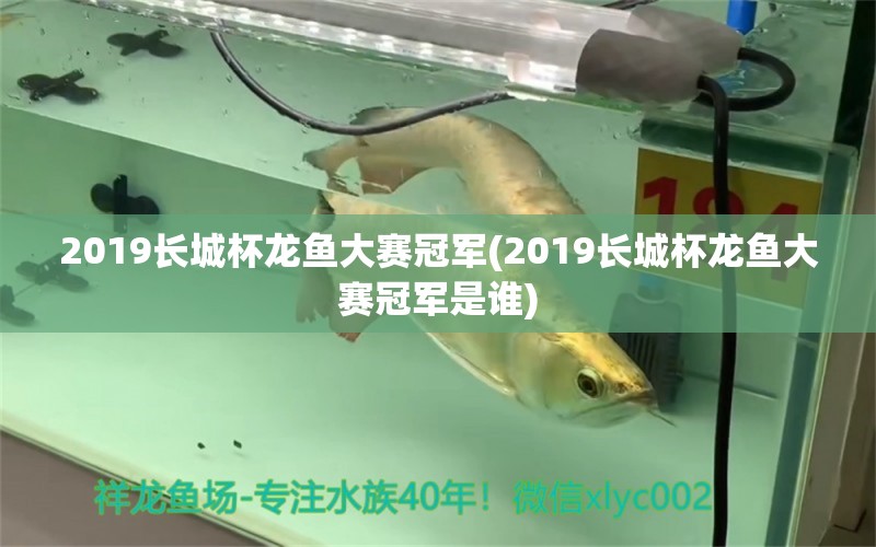 2019長城杯龍魚大賽冠軍(2019長城杯龍魚大賽冠軍是誰) 2024第28屆中國國際寵物水族展覽會CIPS（長城寵物展2024 CIPS） 第1張