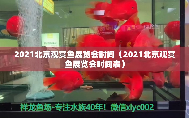 2021北京觀賞魚展覽會(huì)時(shí)間（2021北京觀賞魚展覽會(huì)時(shí)間表）