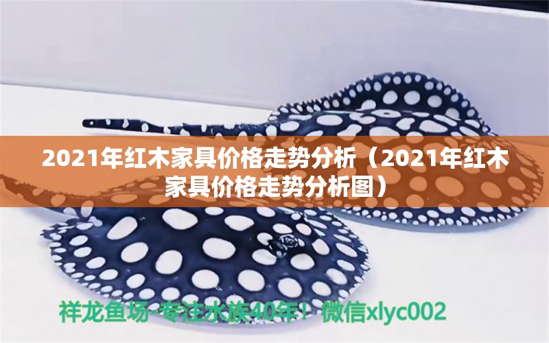 2021年紅木家具價(jià)格走勢分析（2021年紅木家具價(jià)格走勢分析圖） 文玩