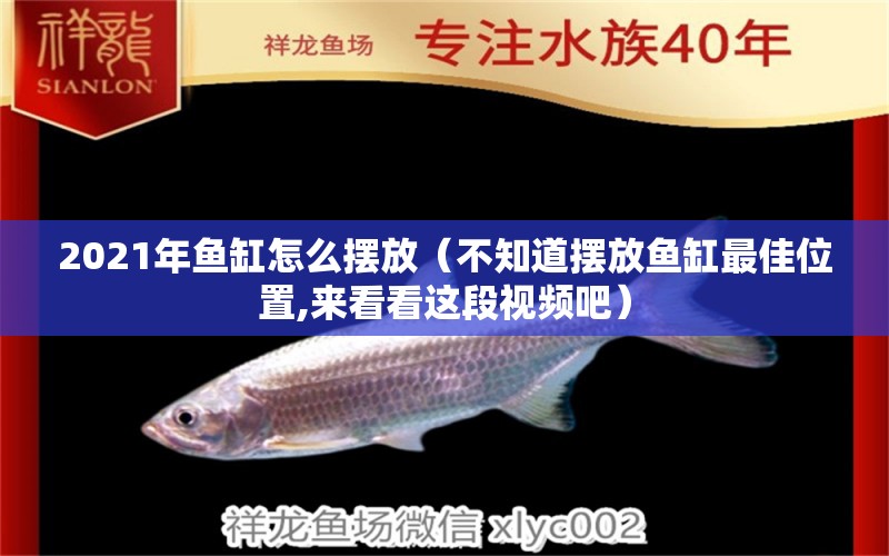 2021年魚缸怎么擺放（不知道擺放魚缸最佳位置,來看看這段視頻吧）