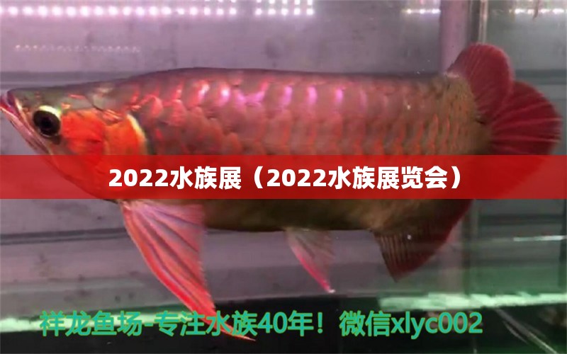 2022水族展（2022水族展覽會）