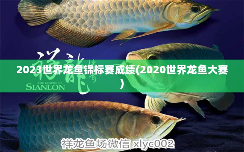 2023世界龍魚(yú)錦標(biāo)賽成績(jī)(2020世界龍魚(yú)大賽) 2024第28屆中國(guó)國(guó)際寵物水族展覽會(huì)CIPS（長(zhǎng)城寵物展2024 CIPS） 第1張