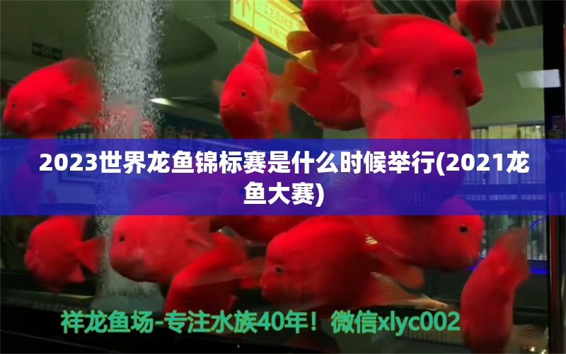 2023世界龍魚錦標(biāo)賽是什么時候舉行(2021龍魚大賽) 2024第28屆中國國際寵物水族展覽會CIPS（長城寵物展2024 CIPS） 第1張