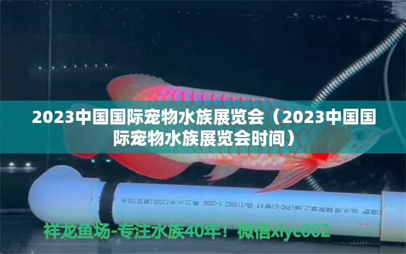 2023中國國際寵物水族展覽會（2023中國國際寵物水族展覽會時間）