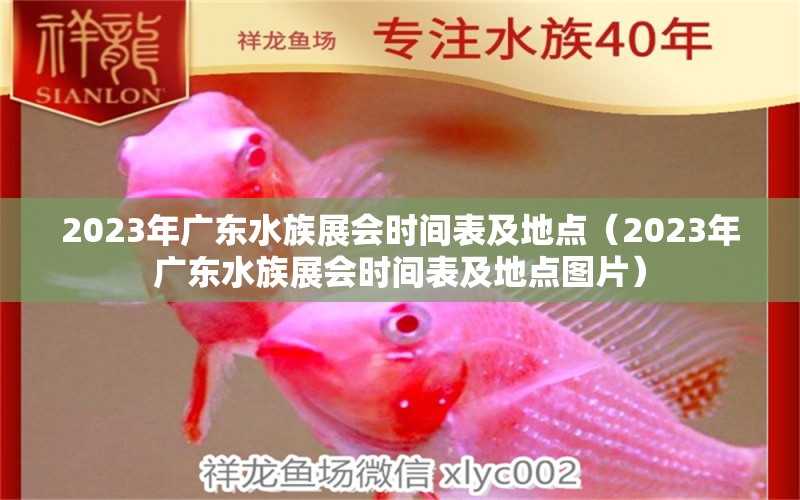 2023年廣東水族展會(huì)時(shí)間表及地點(diǎn)（2023年廣東水族展會(huì)時(shí)間表及地點(diǎn)圖片）