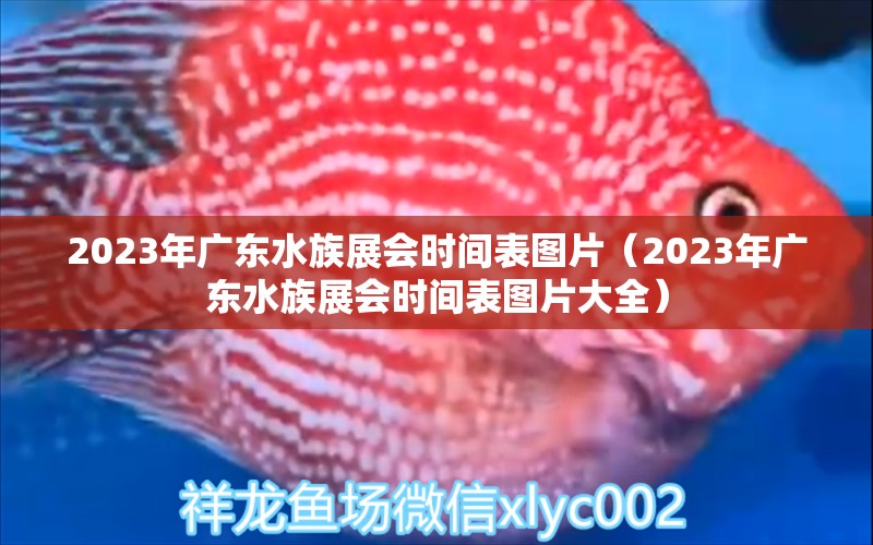 2023年廣東水族展會(huì)時(shí)間表圖片（2023年廣東水族展會(huì)時(shí)間表圖片大全）