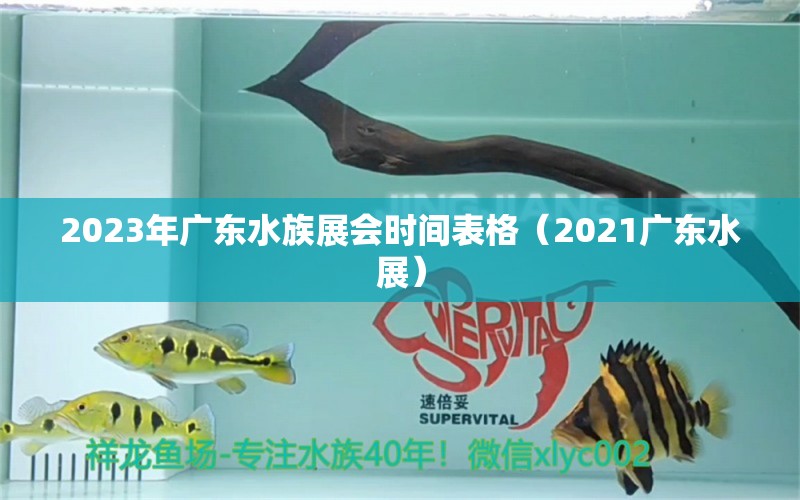 2023年廣東水族展會時間表格（2021廣東水展）