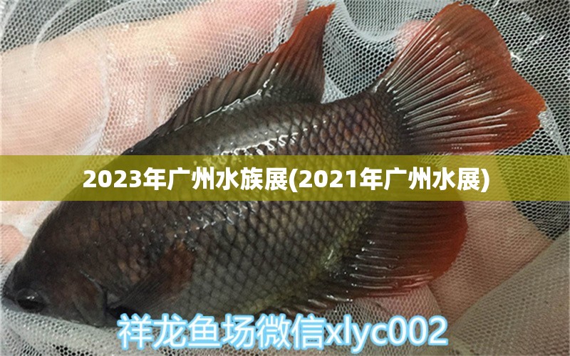 2023年廣州水族展(2021年廣州水展)