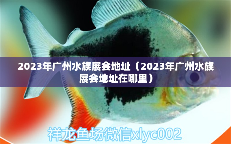 2023年廣州水族展會(huì)地址（2023年廣州水族展會(huì)地址在哪里）