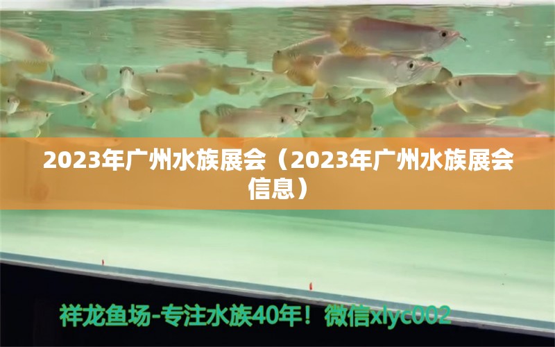 2023年廣州水族展會（2023年廣州水族展會信息）