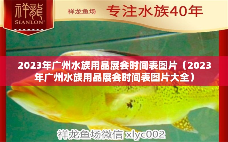 2023年廣州水族用品展會時間表圖片（2023年廣州水族用品展會時間表圖片大全） 水族用品