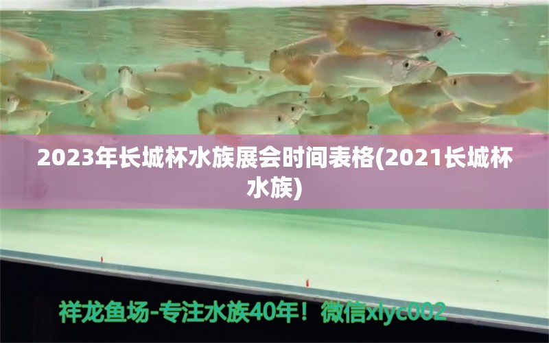 2023年長(zhǎng)城杯水族展會(huì)時(shí)間表格(2021長(zhǎng)城杯水族) 水族展會(huì) 第1張