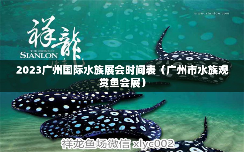 2023廣州國際水族展會時間表（廣州市水族觀賞魚會展）