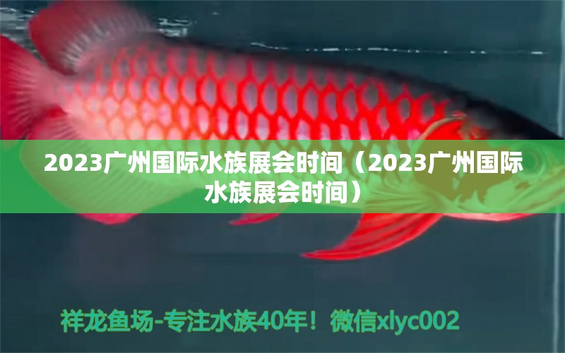 2023廣州國際水族展會時間（2023廣州國際水族展會時間）