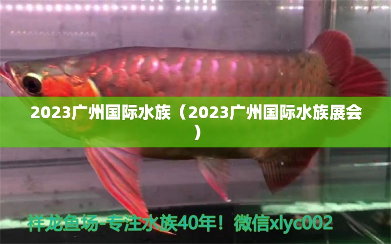 2023廣州國際水族（2023廣州國際水族展會）