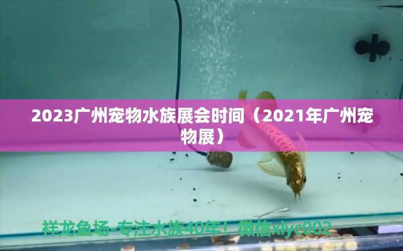 2023廣州寵物水族展會時間（2021年廣州寵物展）