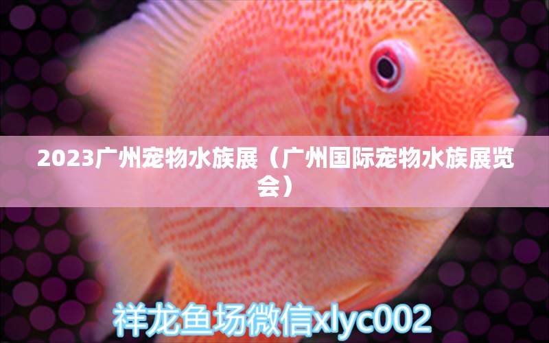 2023廣州寵物水族展（廣州國際寵物水族展覽會）