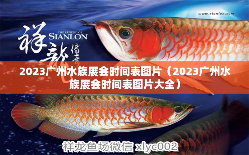 2023廣州水族展會(huì)時(shí)間表圖片（2023廣州水族展會(huì)時(shí)間表圖片大全）