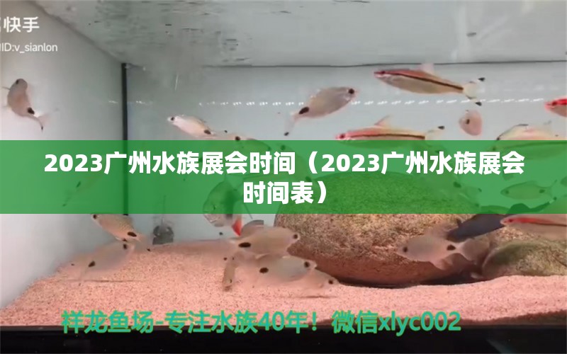 2023廣州水族展會時(shí)間（2023廣州水族展會時(shí)間表）