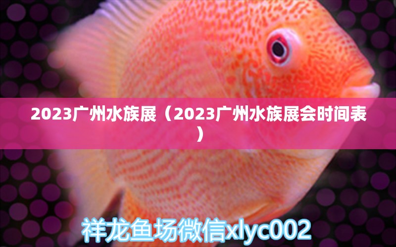 2023廣州水族展（2023廣州水族展會(huì)時(shí)間表）