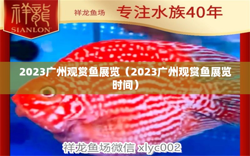 2023廣州觀賞魚展覽（2023廣州觀賞魚展覽時(shí)間） 廣州水族批發(fā)市場(chǎng)