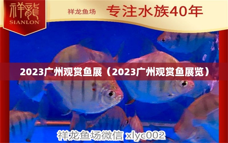 2023廣州觀賞魚展（2023廣州觀賞魚展覽）