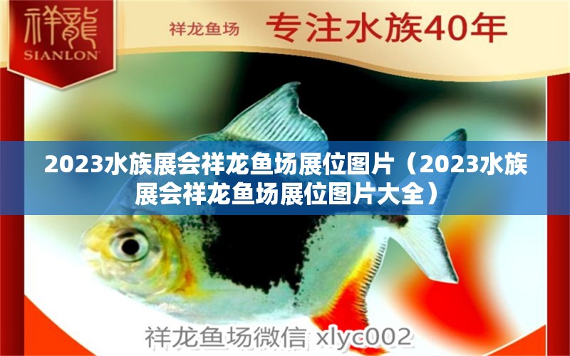 2023水族展會(huì)祥龍魚(yú)場(chǎng)展位圖片（2023水族展會(huì)祥龍魚(yú)場(chǎng)展位圖片大全） 水族展會(huì)