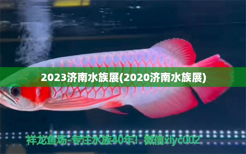 2023濟(jì)南水族展(2020濟(jì)南水族展) 水族展會(huì)