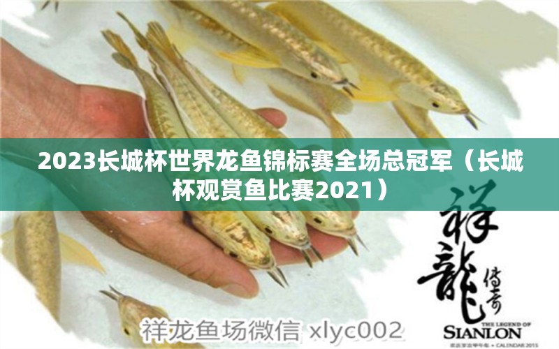 2023長(zhǎng)城杯世界龍魚(yú)錦標(biāo)賽全場(chǎng)總冠軍（長(zhǎng)城杯觀賞魚(yú)比賽2021）