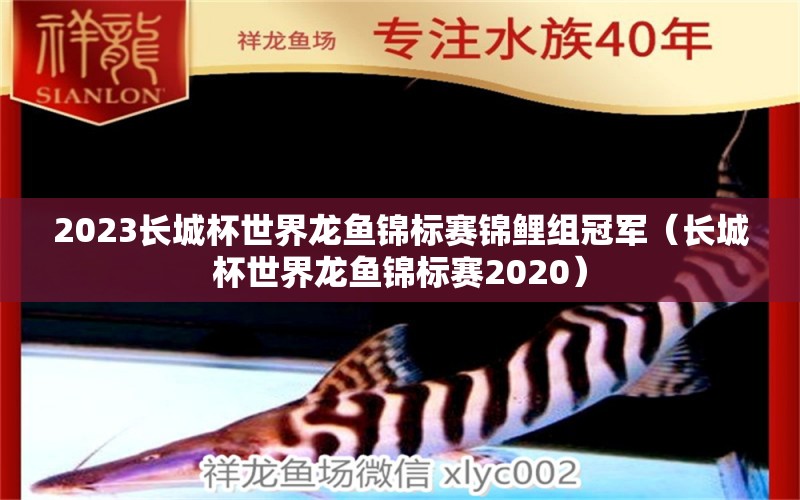 2023長城杯世界龍魚錦標賽錦鯉組冠軍（長城杯世界龍魚錦標賽2020）