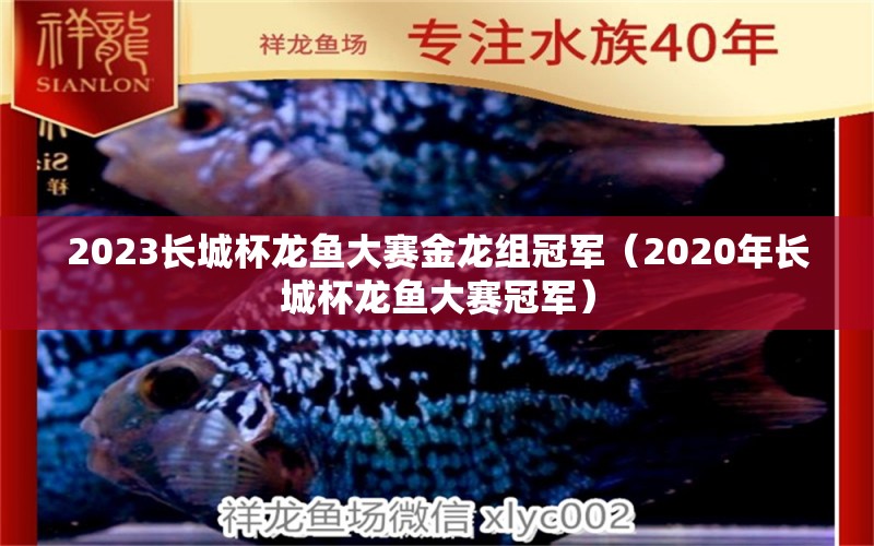 2023長(zhǎng)城杯龍魚大賽金龍組冠軍（2020年長(zhǎng)城杯龍魚大賽冠軍） 2024第28屆中國(guó)國(guó)際寵物水族展覽會(huì)CIPS（長(zhǎng)城寵物展2024 CIPS）