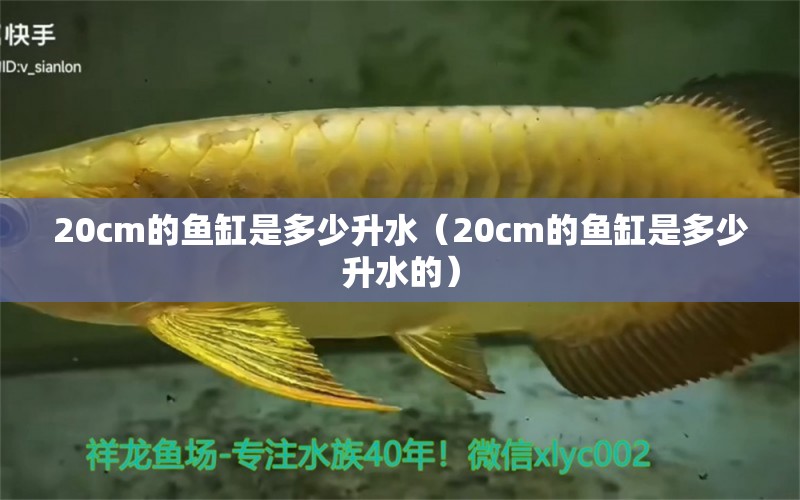 20cm的魚缸是多少升水（20cm的魚缸是多少升水的） 其他品牌魚缸